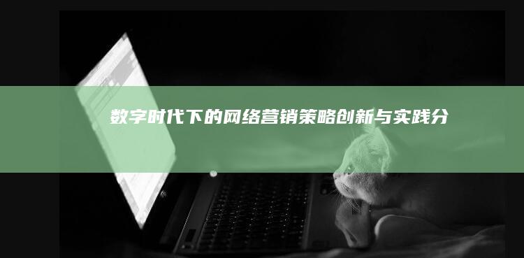 数字时代下的网络营销策略创新与实践分析